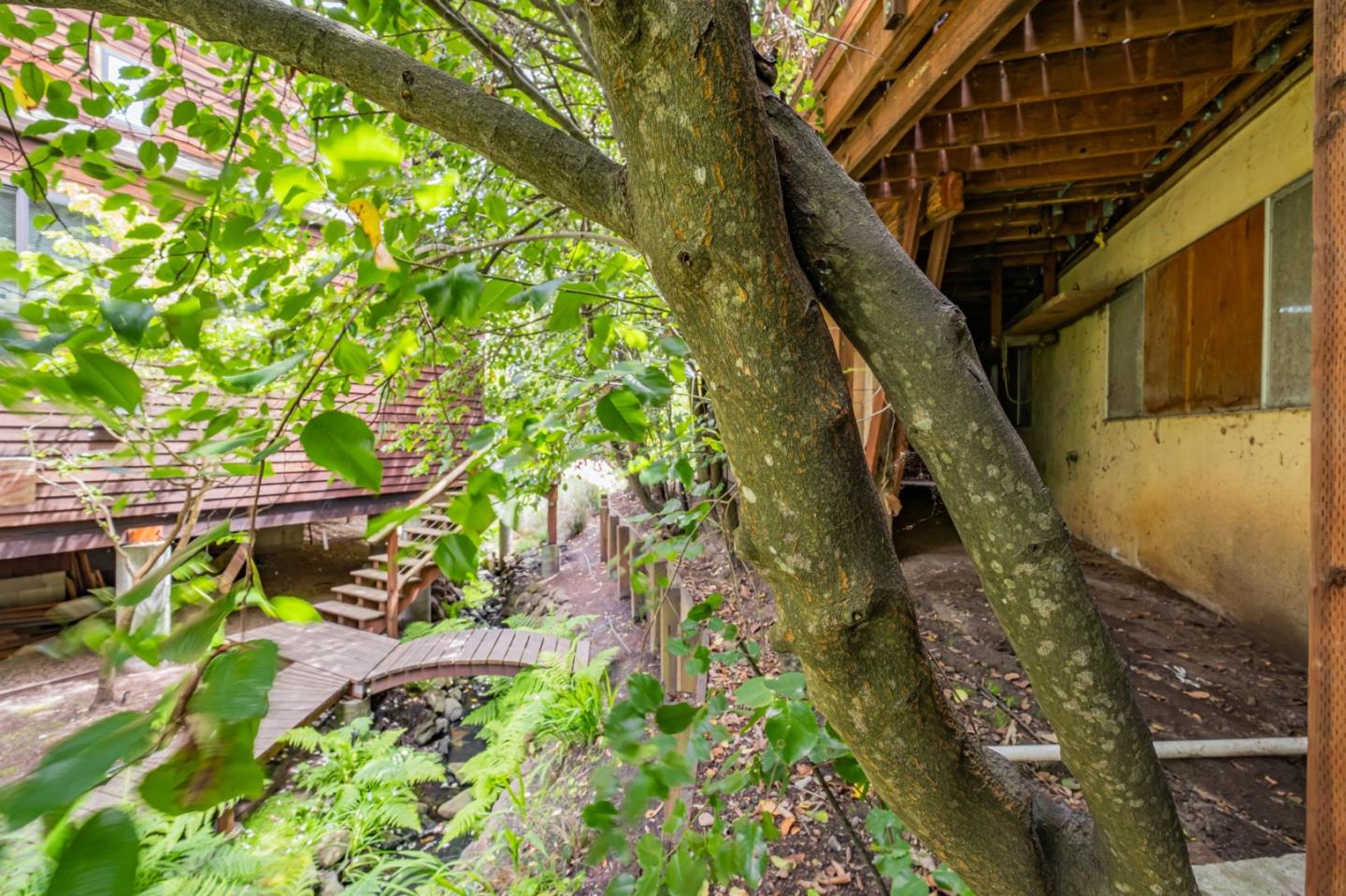 Detail Gallery Image 27 of 36 For 205 Forbes St, Santa Cruz,  CA 95062 - 5 Beds | 2 Baths