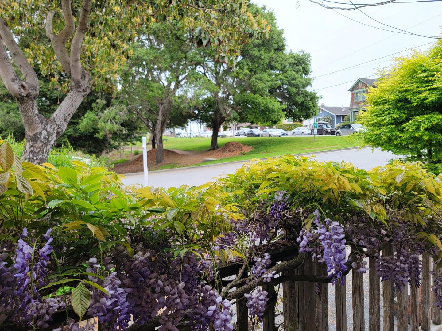 Detail Gallery Image 35 of 36 For 205 Forbes St, Santa Cruz,  CA 95062 - 5 Beds | 2 Baths