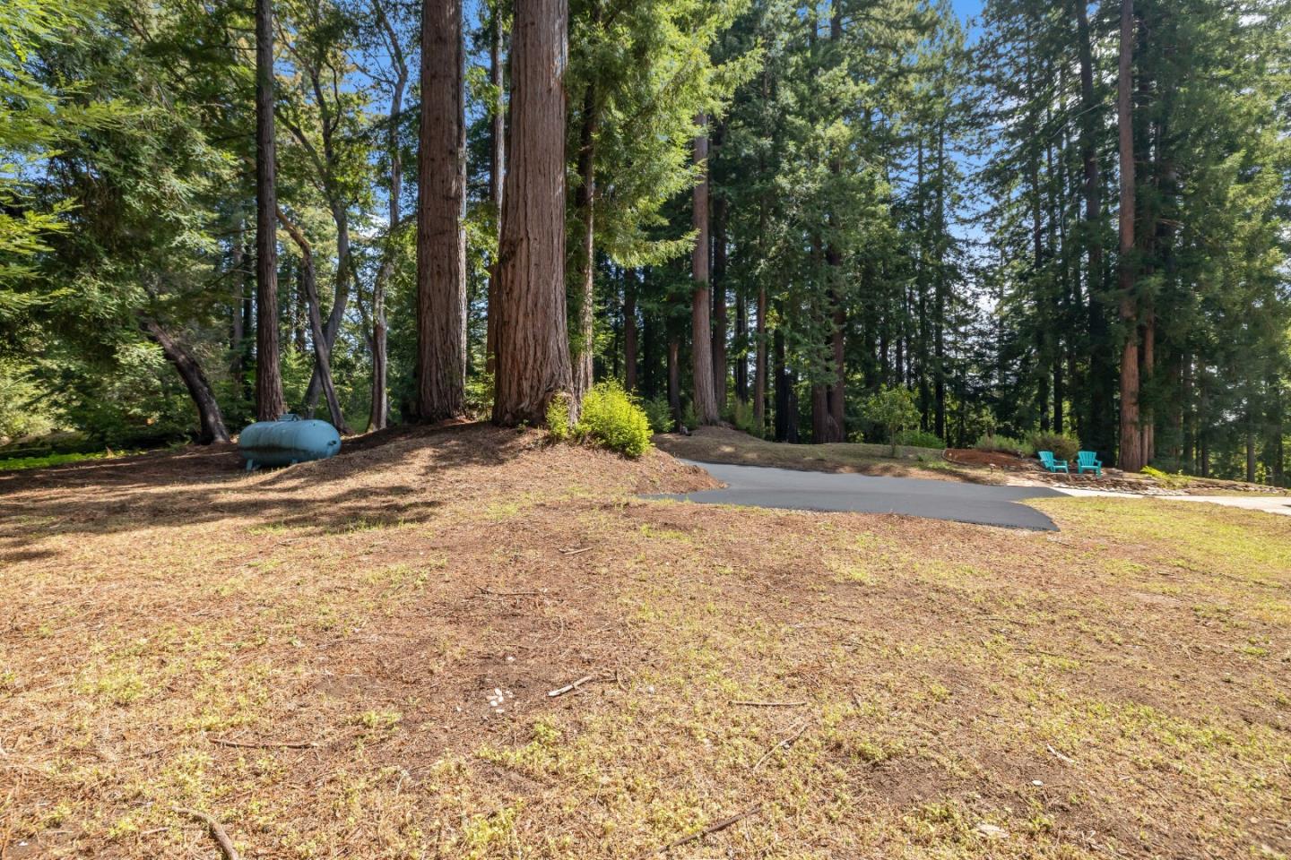Detail Gallery Image 45 of 77 For 220 Hillary Hts, Boulder Creek,  CA 95006 - 5 Beds | 4 Baths
