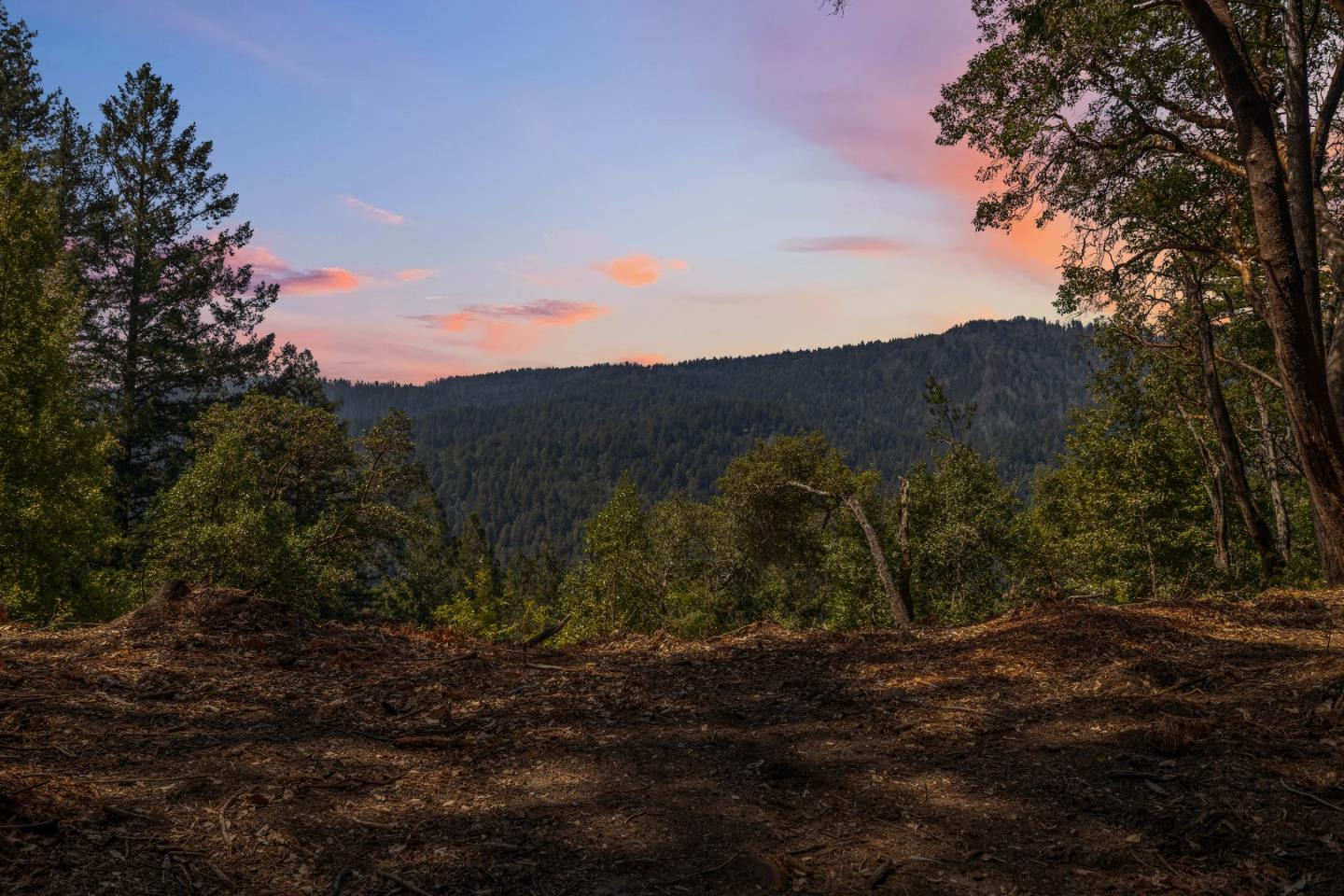 Detail Gallery Image 71 of 77 For 220 Hillary Hts, Boulder Creek,  CA 95006 - 5 Beds | 4 Baths