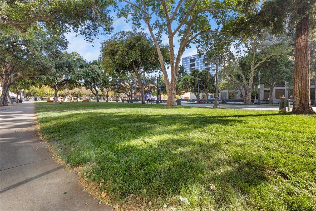 Detail Gallery Image 16 of 38 For 895 S 2nd St, San Jose,  CA 95112 - – Beds | – Baths