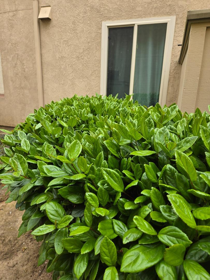 Detail Gallery Image 1 of 3 For 2412 N Main St #C,  Salinas,  CA 93906 - 2 Beds | 1 Baths