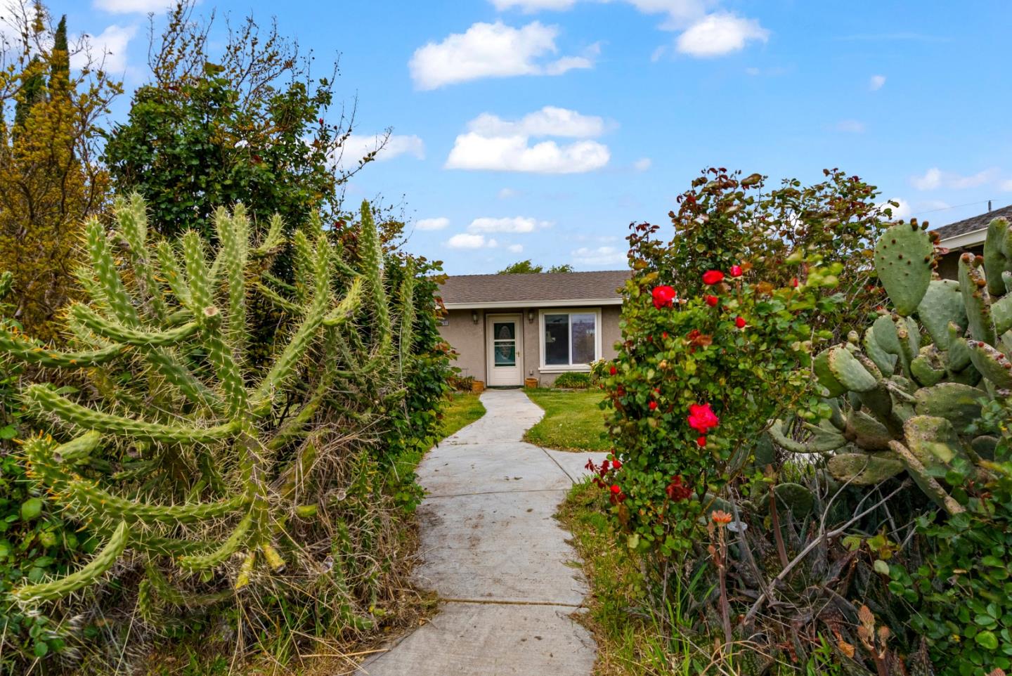 Detail Gallery Image 11 of 125 For 38780 Dinosaur Point Rd, –,  CA 95023 - 3 Beds | 2/1 Baths