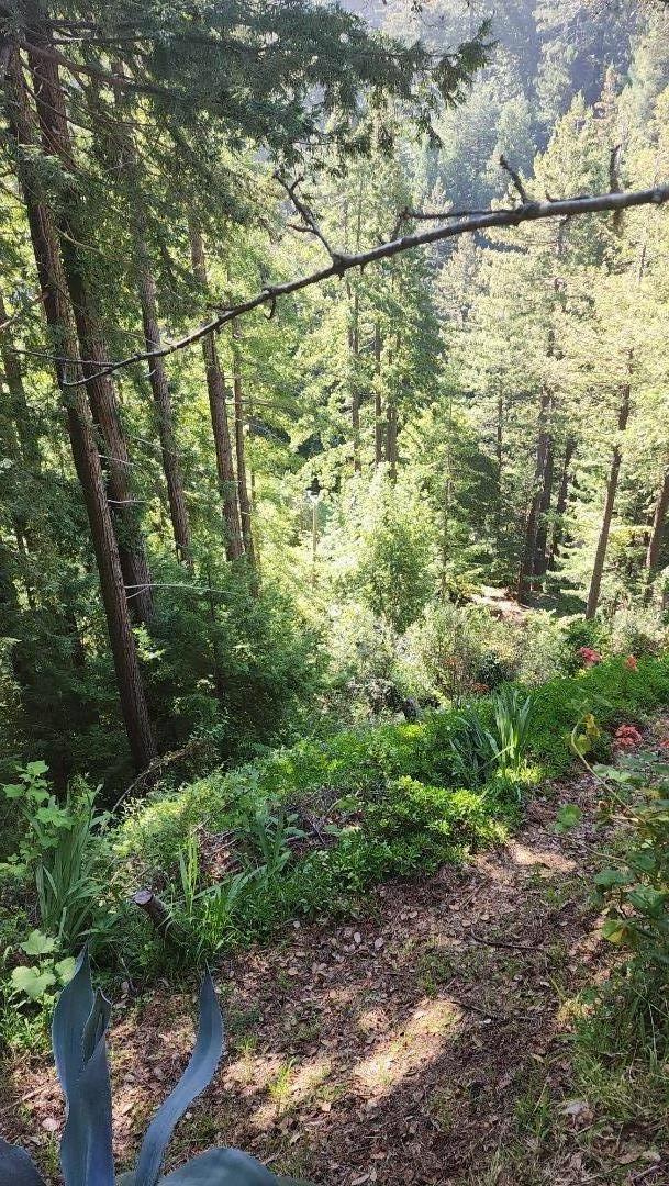 Detail Gallery Image 10 of 11 For 5905 Garrapatos Rd, Carmel,  CA 93923 - – Beds | – Baths