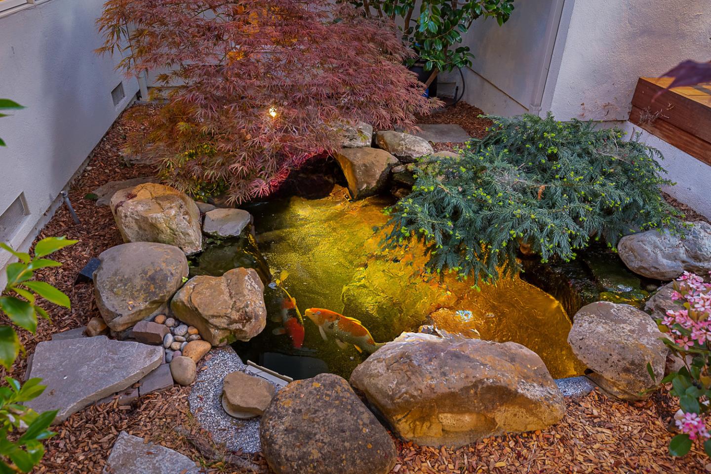 Detail Gallery Image 24 of 64 For 11525 Old Ranch Ln, Los Altos,  CA 94024 - 4 Beds | 3/1 Baths