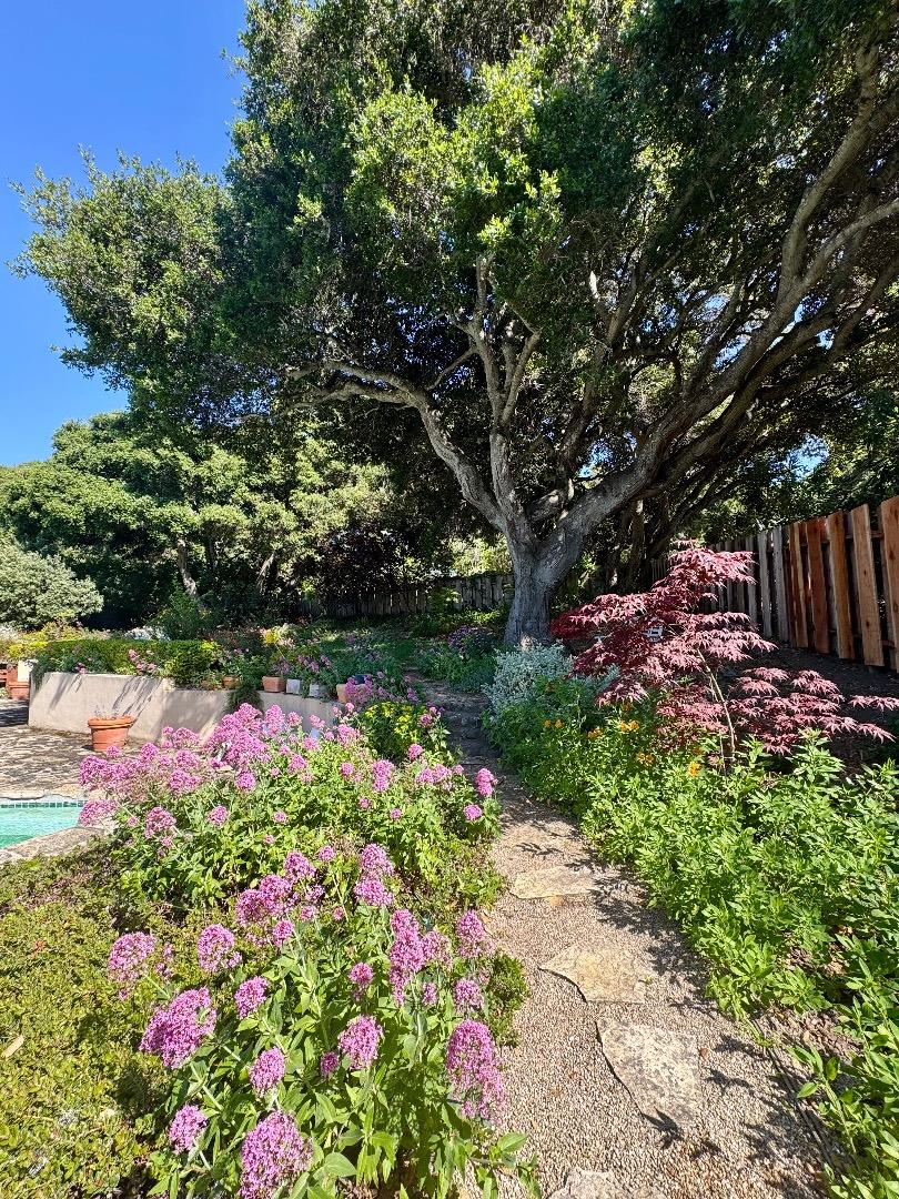 Detail Gallery Image 25 of 28 For 42 Upper Circle, Carmel Valley,  CA 93924 - 3 Beds | 2 Baths