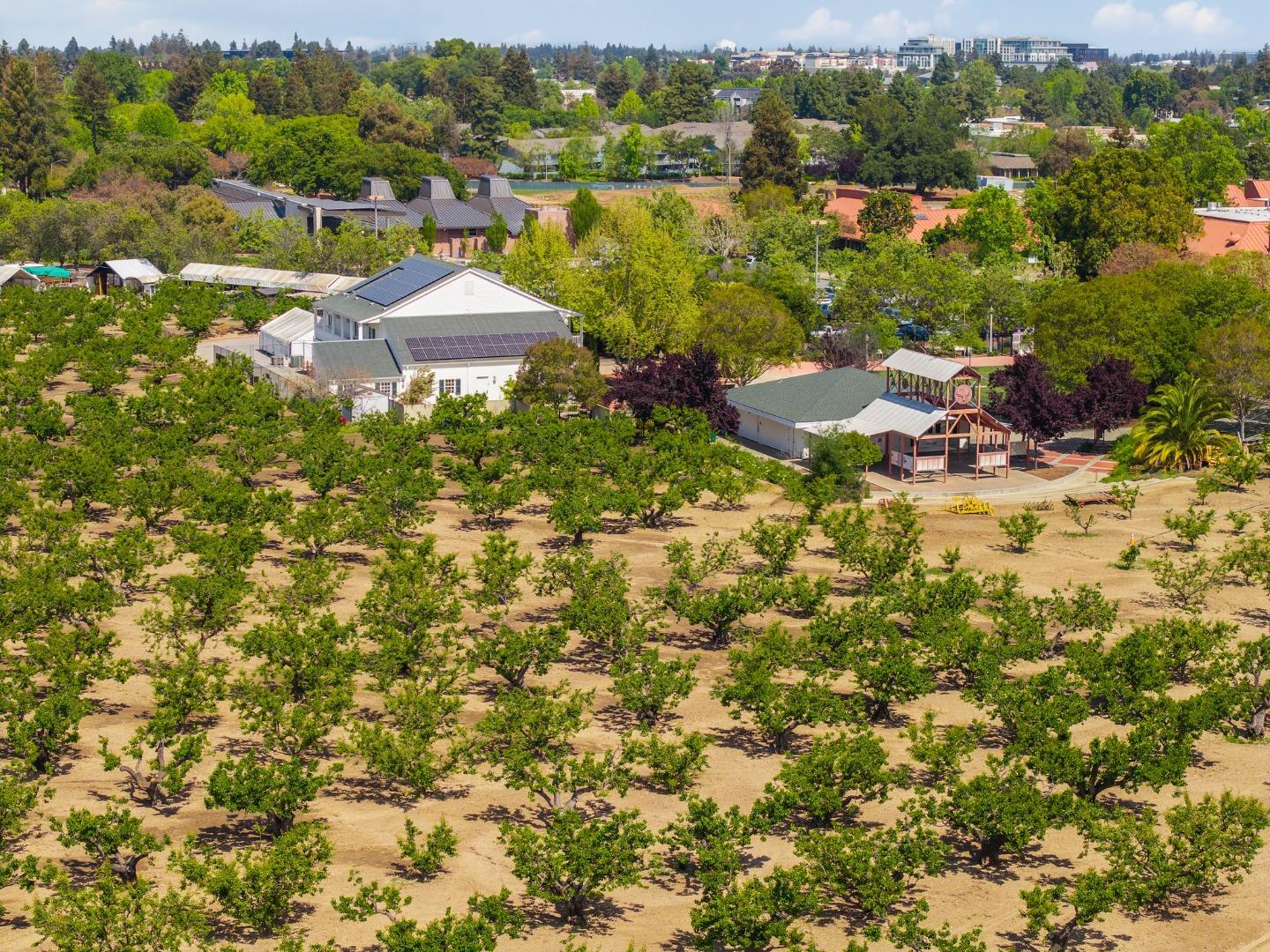 Detail Gallery Image 43 of 45 For 1080 Michelangelo Dr, Sunnyvale,  CA 94087 - 3 Beds | 2 Baths