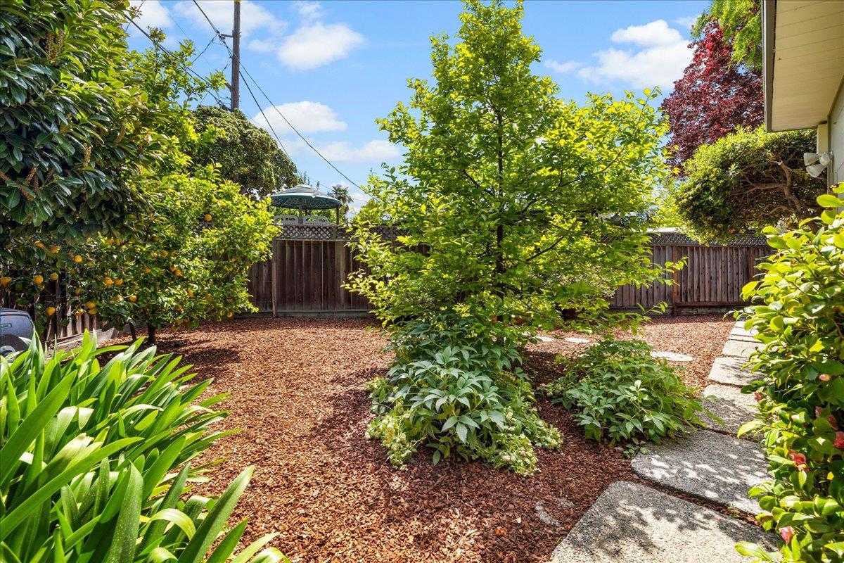 Detail Gallery Image 43 of 45 For 2441 Greer Rd, Palo Alto,  CA 94303 - 4 Beds | 2 Baths