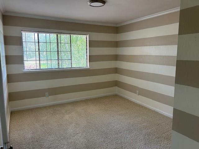 Detail Gallery Image 11 of 12 For 157 Frederick St, Santa Cruz,  CA 95062 - 3 Beds | 2/1 Baths