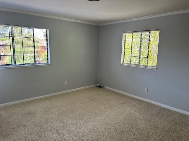Detail Gallery Image 6 of 12 For 157 Frederick St, Santa Cruz,  CA 95062 - 3 Beds | 2/1 Baths