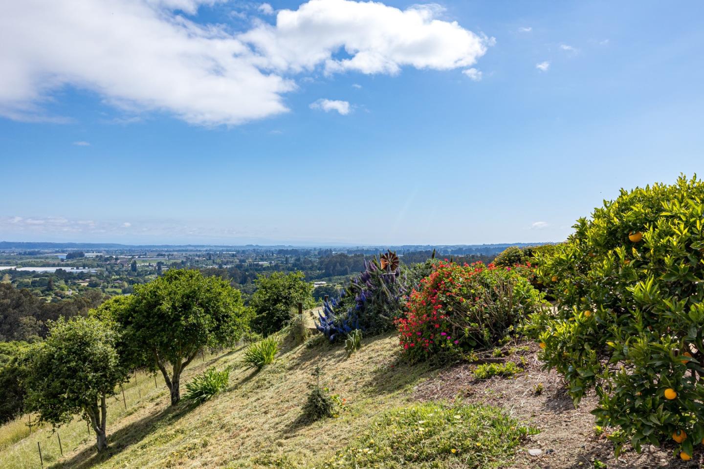 Detail Gallery Image 52 of 56 For 341 Hawk Ridge Ln, Watsonville,  CA 95076 - 4 Beds | 3 Baths