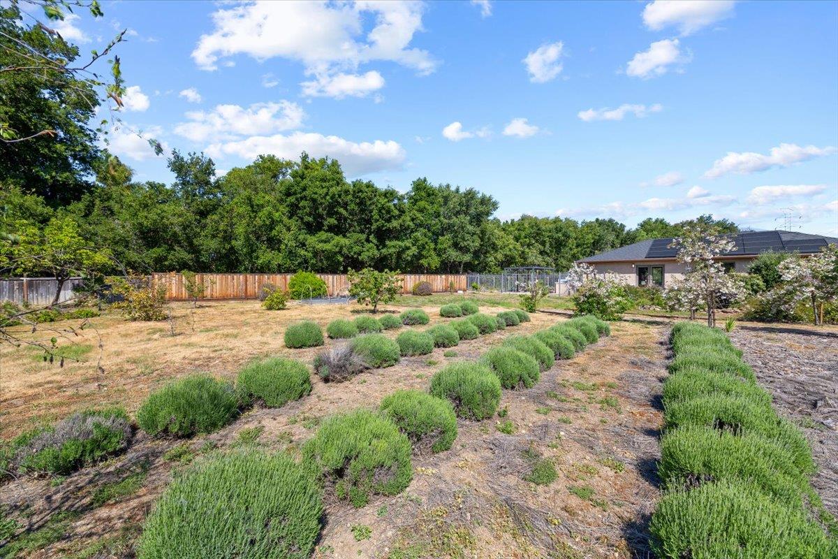 Detail Gallery Image 65 of 92 For 20811 Norada Ct, Saratoga,  CA 95070 - 4 Beds | 3 Baths