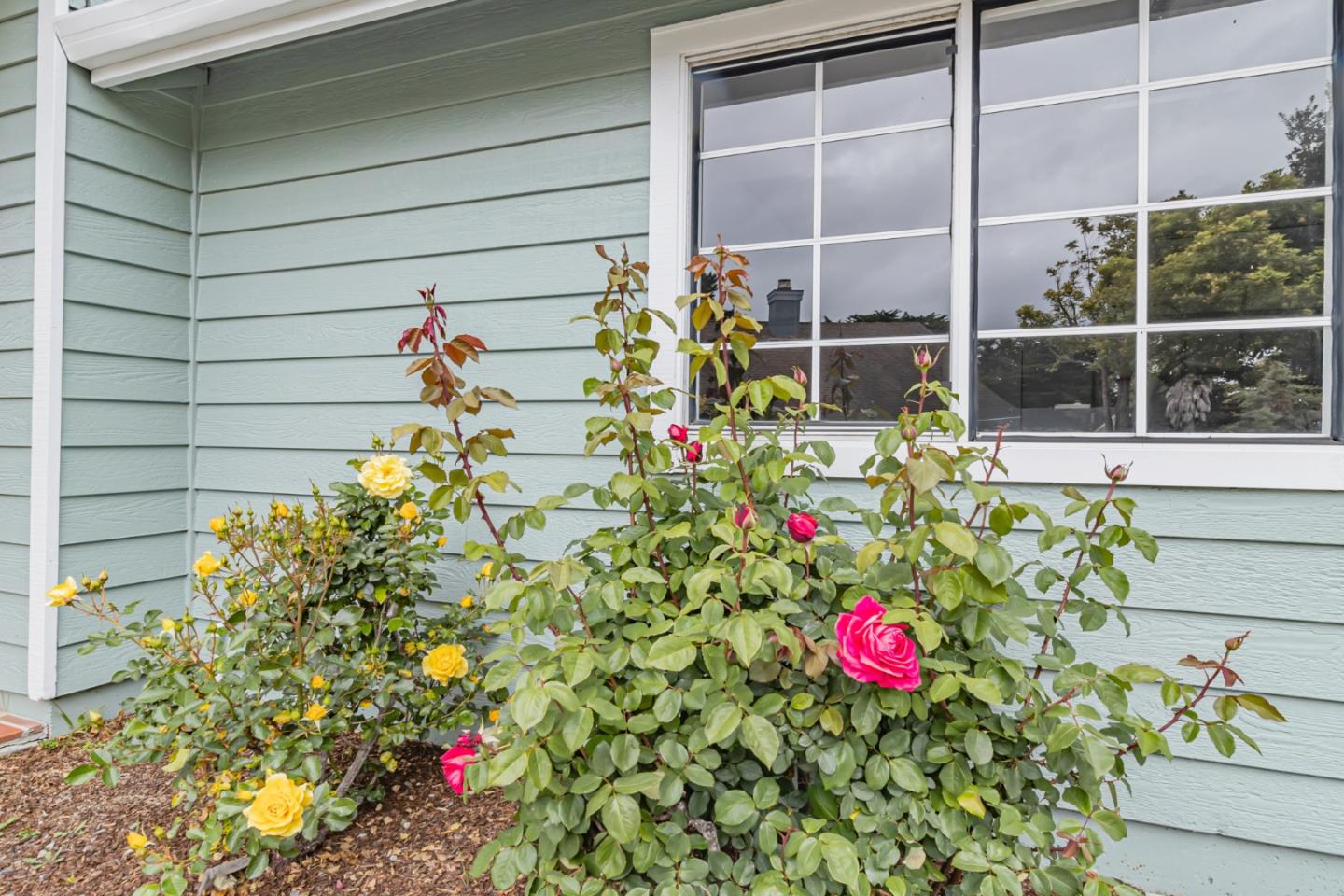 Detail Gallery Image 23 of 38 For 2100 Winged Foot Rd, Half Moon Bay,  CA 94019 - 3 Beds | 2/1 Baths