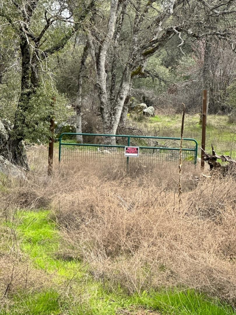 Detail Gallery Image 1 of 15 For 4822 Indian Peaks Rd, Mariposa,  CA 95338 - – Beds | – Baths