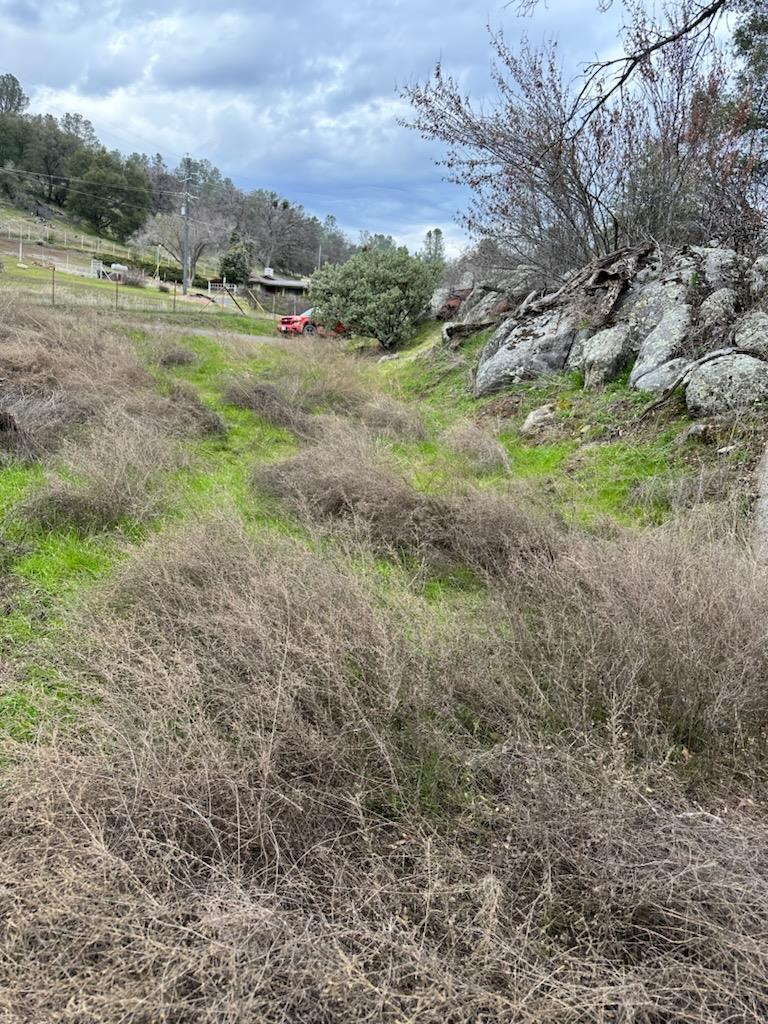 Detail Gallery Image 14 of 15 For 4822 Indian Peaks Rd, Mariposa,  CA 95338 - – Beds | – Baths