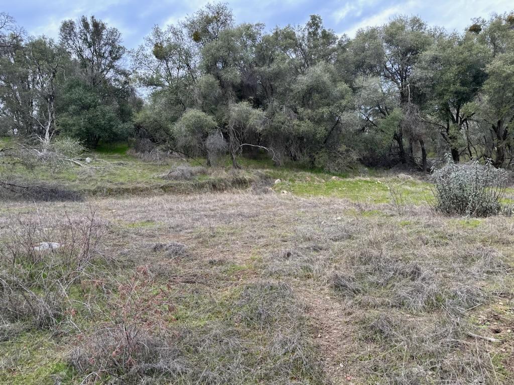 Detail Gallery Image 2 of 15 For 4822 Indian Peaks Rd, Mariposa,  CA 95338 - – Beds | – Baths