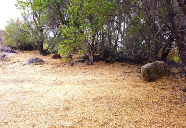 Detail Gallery Image 3 of 15 For 4822 Indian Peaks Rd, Mariposa,  CA 95338 - – Beds | – Baths