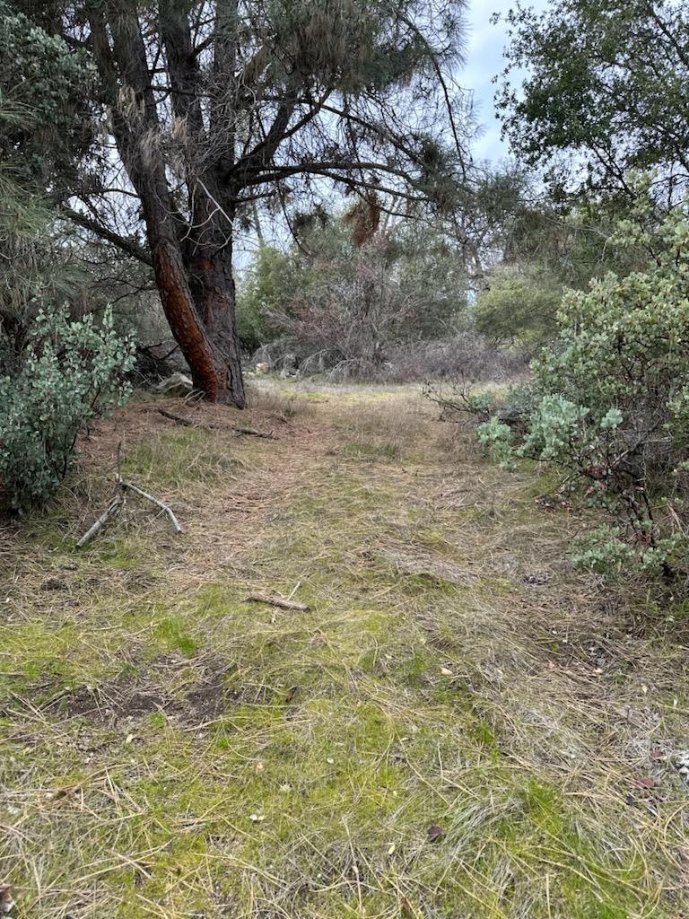 Detail Gallery Image 5 of 15 For 4822 Indian Peaks Rd, Mariposa,  CA 95338 - – Beds | – Baths