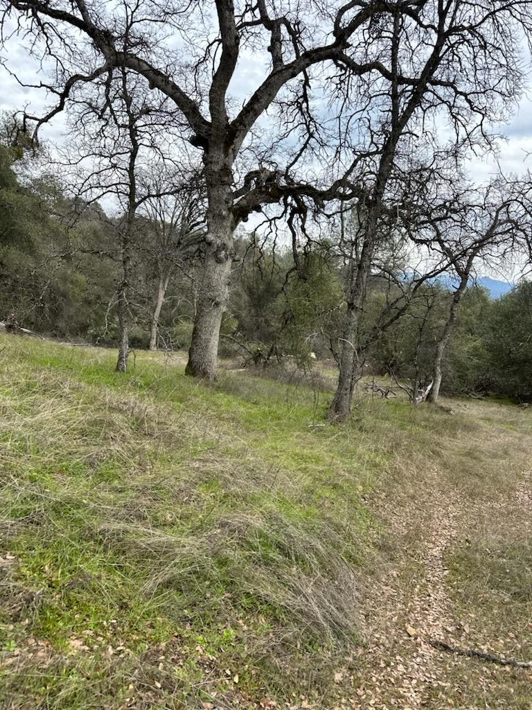 Detail Gallery Image 7 of 15 For 4822 Indian Peaks Rd, Mariposa,  CA 95338 - – Beds | – Baths