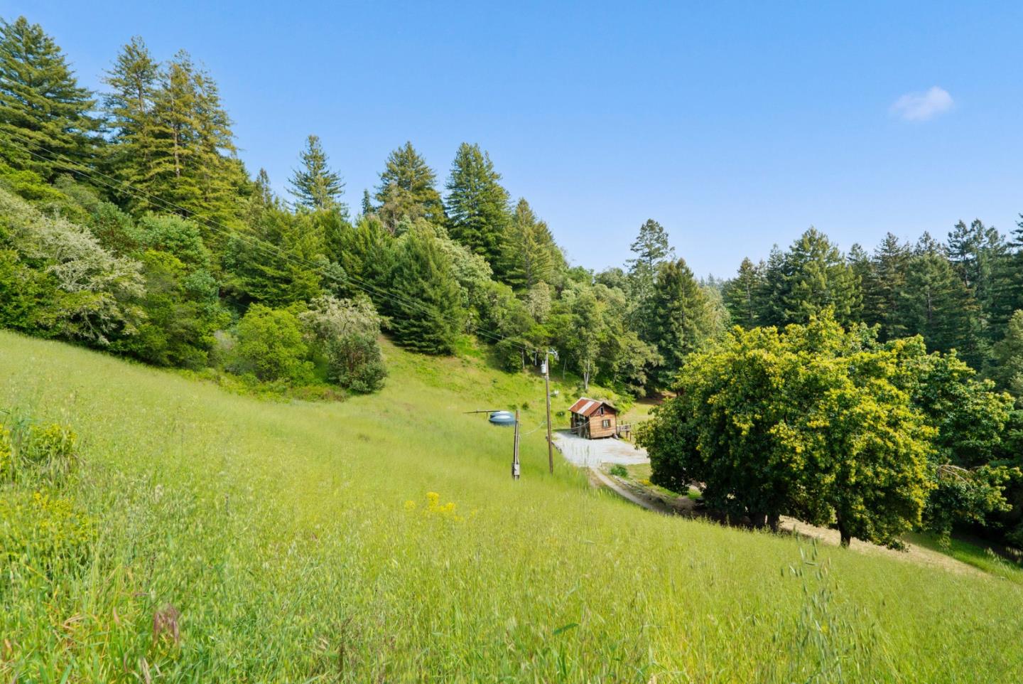 Detail Gallery Image 31 of 74 For 1560 Tindall Ranch Rd, Corralitos,  CA 95076 - 3 Beds | 1/1 Baths