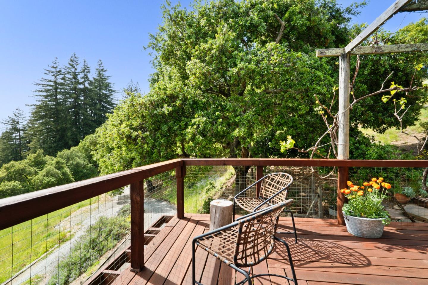 Detail Gallery Image 35 of 74 For 1560 Tindall Ranch Rd, Corralitos,  CA 95076 - 3 Beds | 1/1 Baths