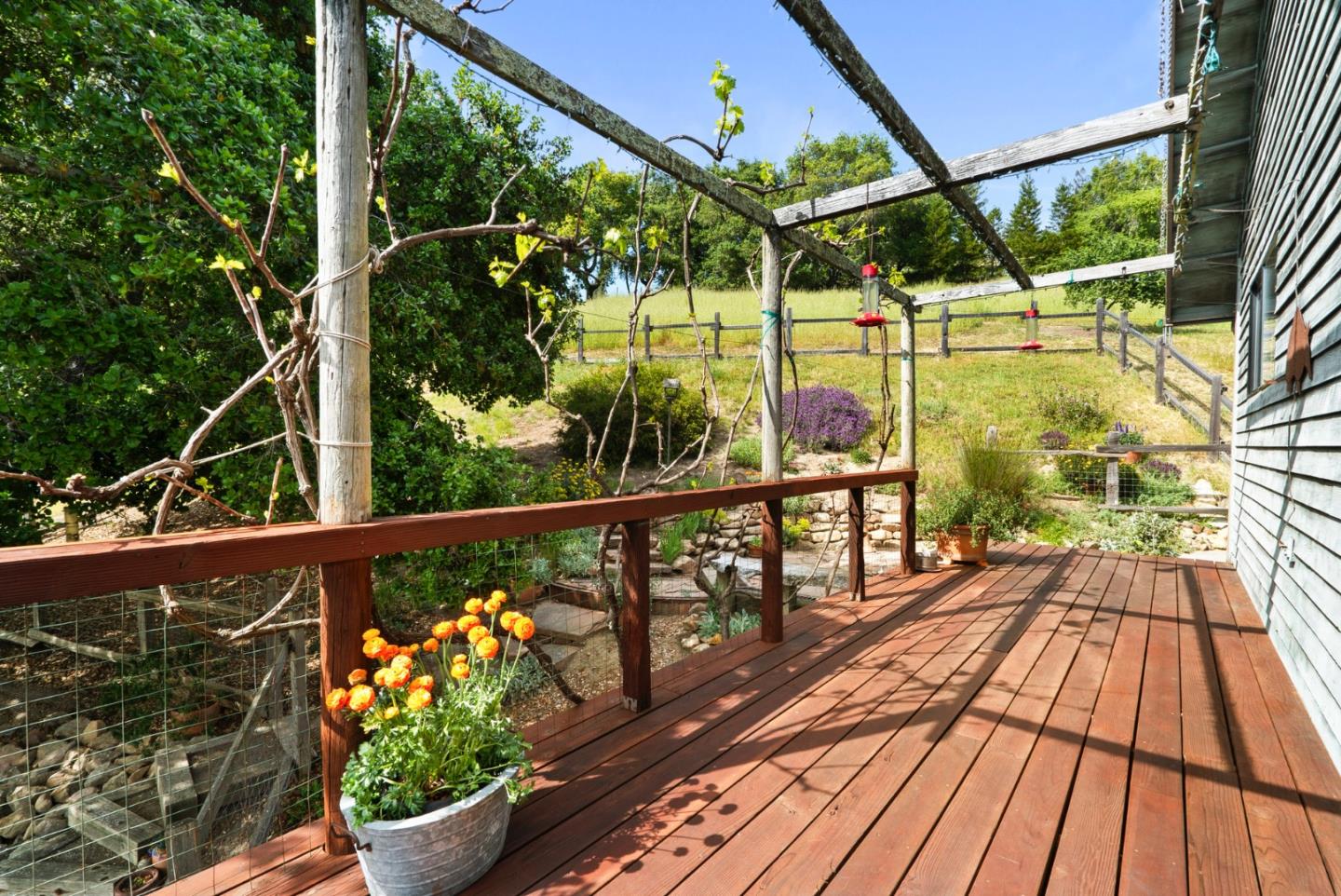 Detail Gallery Image 39 of 74 For 1560 Tindall Ranch Rd, Corralitos,  CA 95076 - 3 Beds | 1/1 Baths