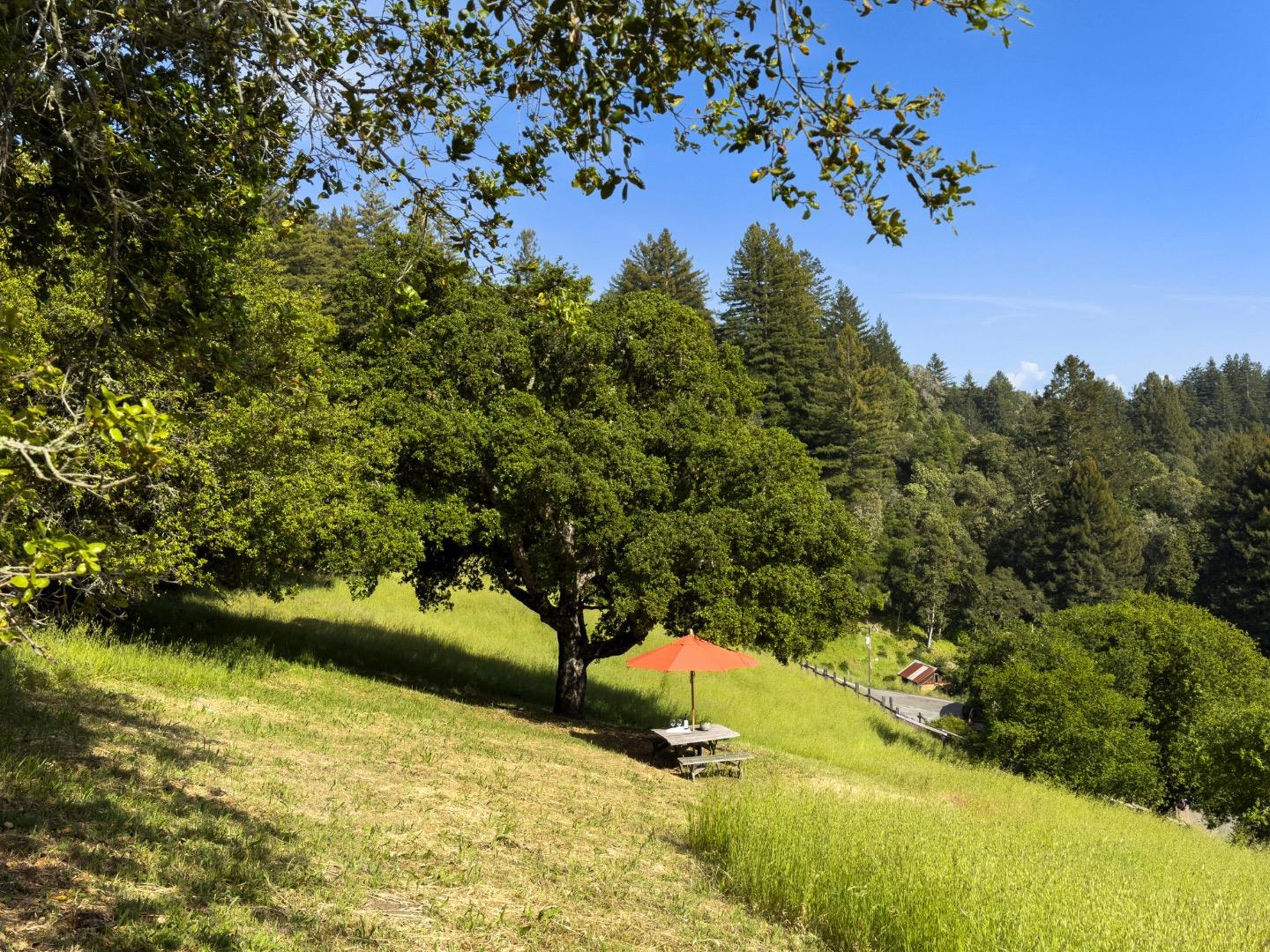 Detail Gallery Image 58 of 74 For 1560 Tindall Ranch Rd, Corralitos,  CA 95076 - 3 Beds | 1/1 Baths