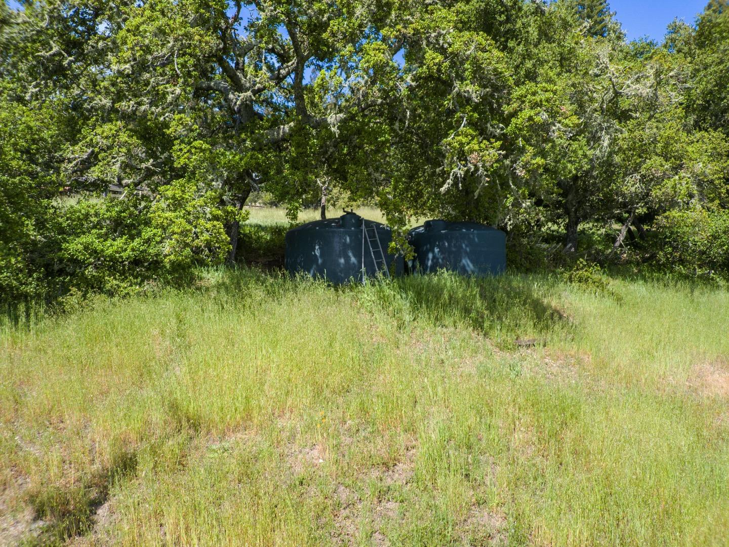 Detail Gallery Image 71 of 74 For 1560 Tindall Ranch Rd, Corralitos,  CA 95076 - 3 Beds | 1/1 Baths