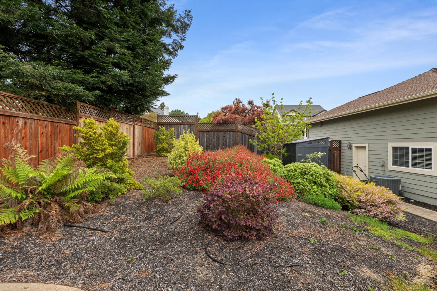 Detail Gallery Image 52 of 65 For 270 Olga Maria Ct, Penngrove,  CA 94951 - 4 Beds | 3/1 Baths