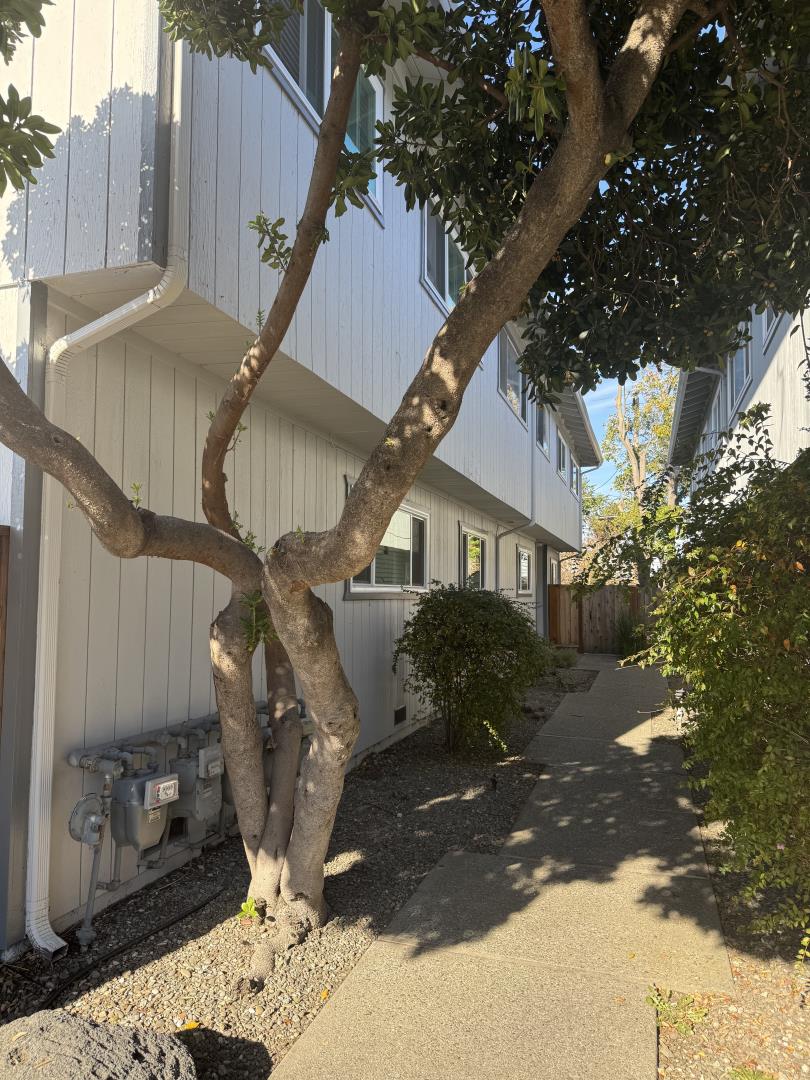 Detail Gallery Image 22 of 23 For 3819 Underwood Dr, San Jose,  CA 95117 - – Beds | – Baths