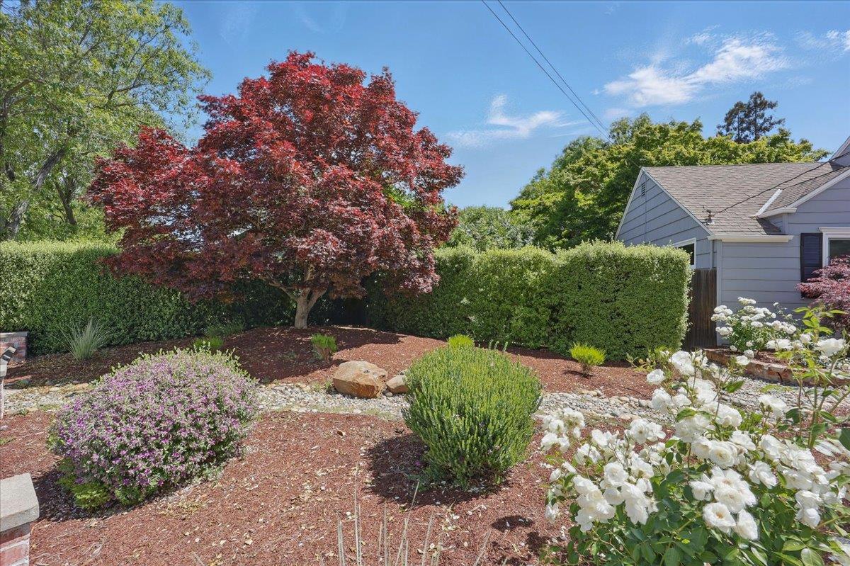 Detail Gallery Image 49 of 56 For 1633 Dallas Ct, Los Altos,  CA 94024 - 3 Beds | 1/1 Baths