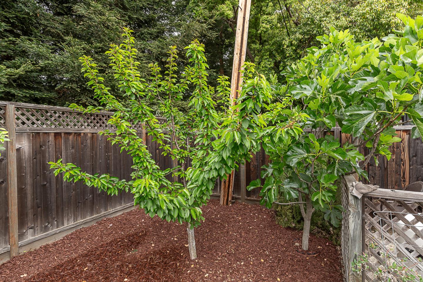 Detail Gallery Image 41 of 42 For 1532 Meadow Ln, Mountain View,  CA 94040 - 4 Beds | 2/1 Baths