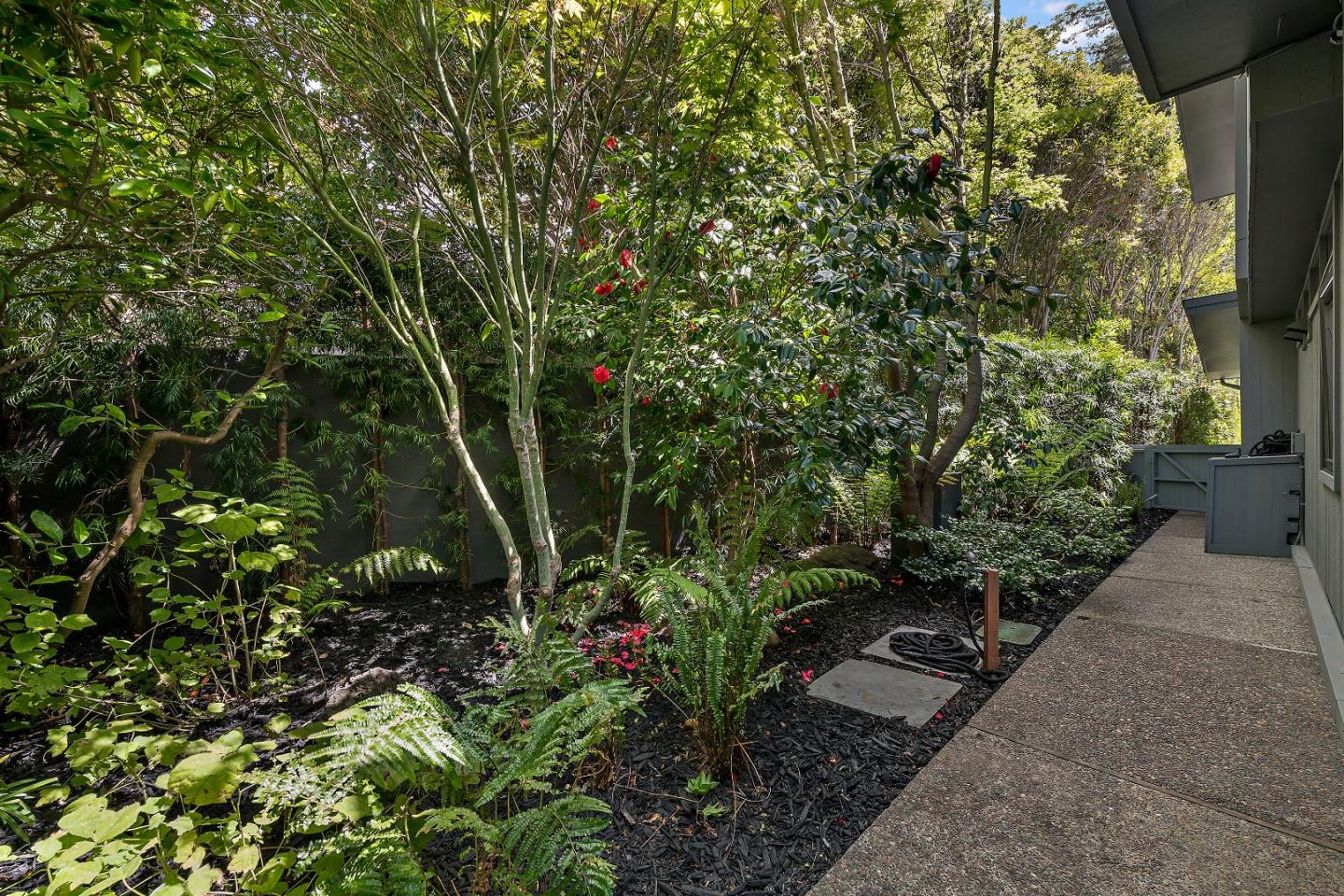 Detail Gallery Image 33 of 40 For 1101 Hamilton Ave, Palo Alto,  CA 94301 - 3 Beds | 3/1 Baths