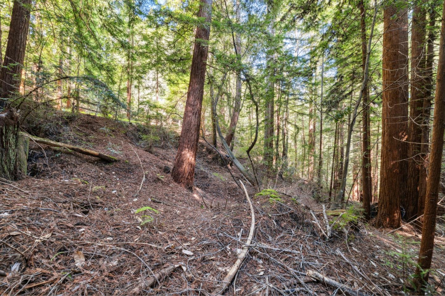 Detail Gallery Image 13 of 23 For Lot 01 Hubbard Gulch, Ben Lomond,  CA 95005 - – Beds | – Baths