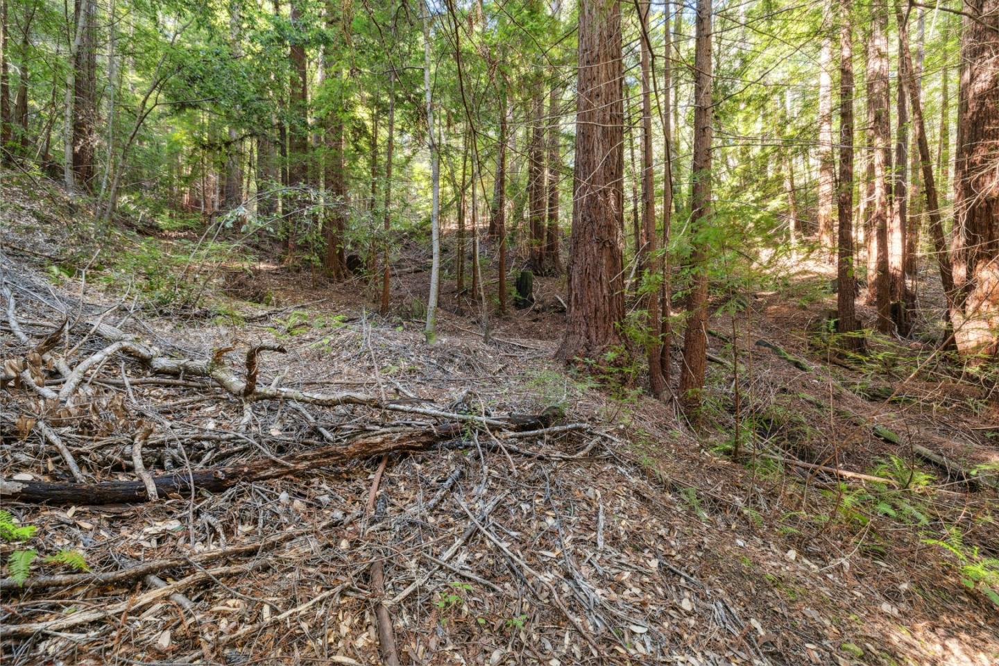 Detail Gallery Image 14 of 23 For Lot 01 Hubbard Gulch, Ben Lomond,  CA 95005 - – Beds | – Baths