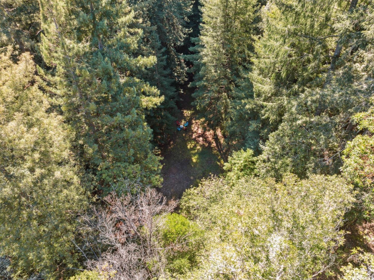 Detail Gallery Image 15 of 23 For Lot 01 Hubbard Gulch, Ben Lomond,  CA 95005 - – Beds | – Baths