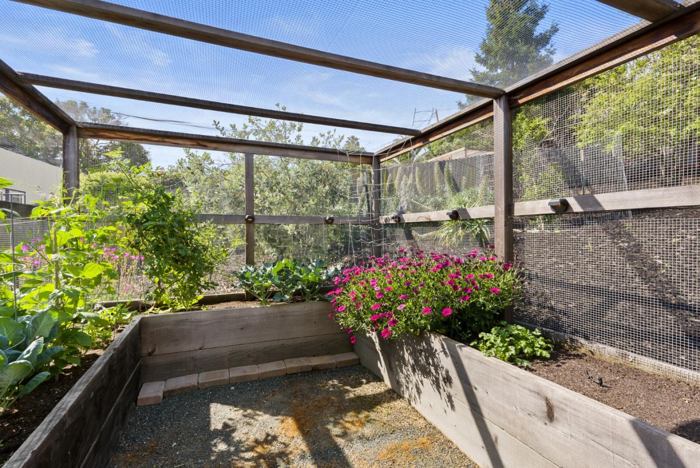 Detail Gallery Image 50 of 70 For 322 Elm St, San Carlos,  CA 94070 - 4 Beds | 3/1 Baths