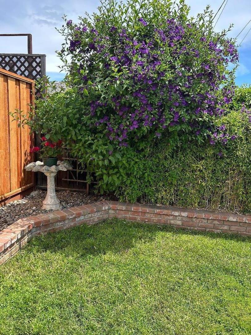 Detail Gallery Image 30 of 33 For 4848 Anna Dr, San Jose,  CA 95124 - 3 Beds | 2 Baths