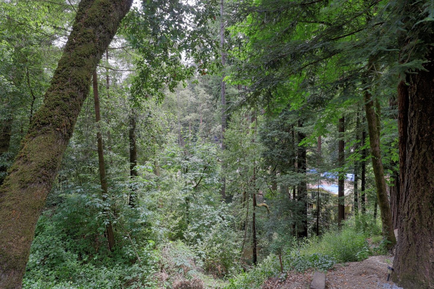Detail Gallery Image 45 of 68 For 18085 Highway 9, Boulder Creek,  CA 95006 - 2 Beds | 2 Baths