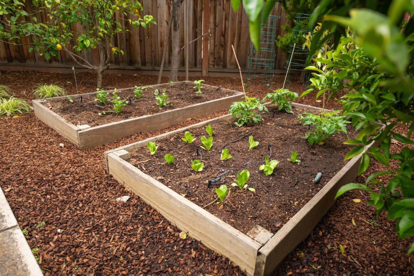 Detail Gallery Image 34 of 37 For 591 Sleeper Ave, Mountain View,  CA 94040 - 5 Beds | 3/1 Baths