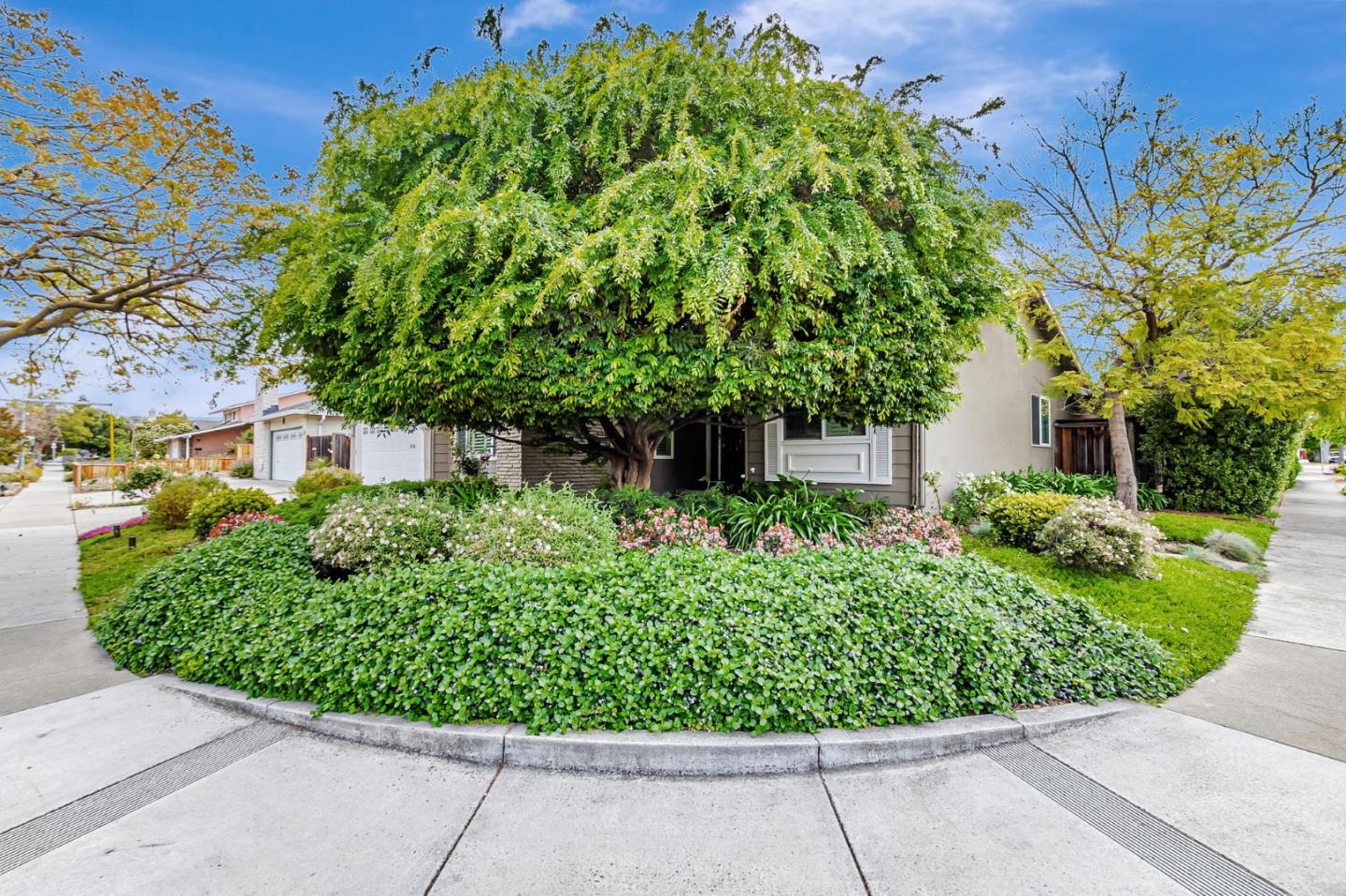 Detail Gallery Image 2 of 47 For 10571 N Blaney Ave, Cupertino,  CA 95014 - 3 Beds | 2/1 Baths