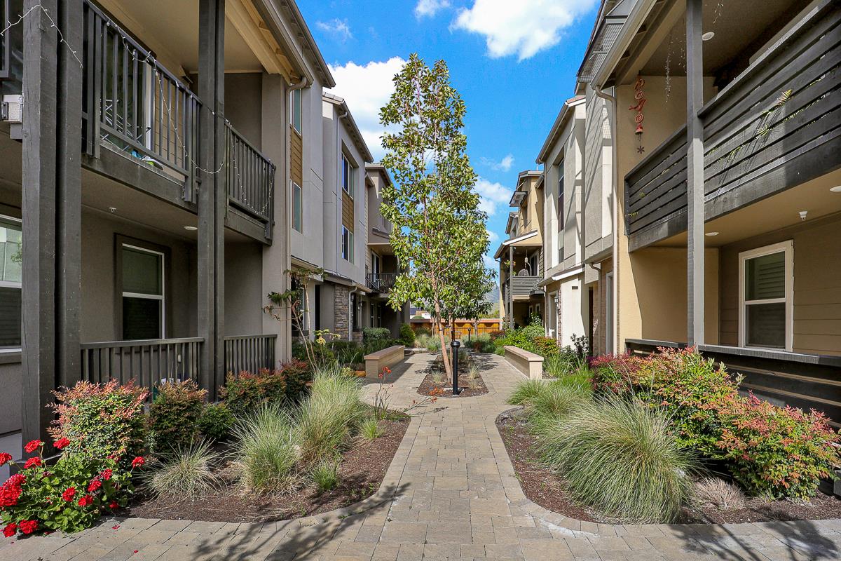 Detail Gallery Image 4 of 50 For 1312 Milkweed St, Milpitas,  CA 95035 - 3 Beds | 3/1 Baths