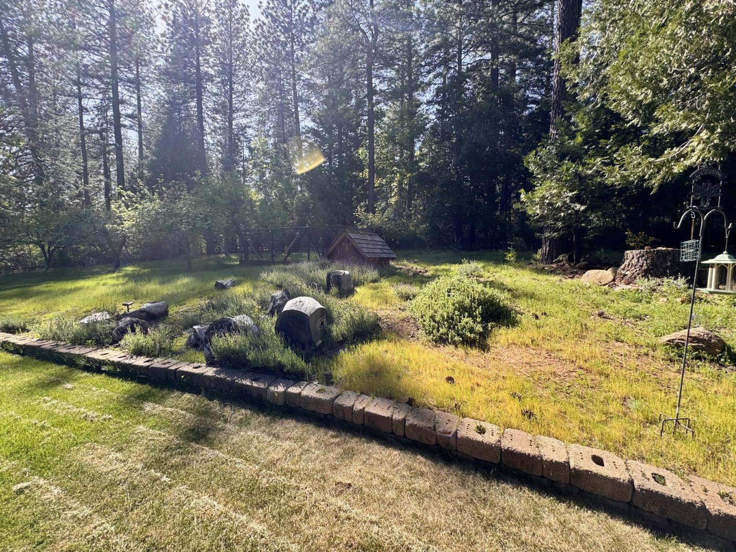 Detail Gallery Image 38 of 47 For 14543 Kathy Ln, Pioneer,  CA 95666 - 3 Beds | 2 Baths