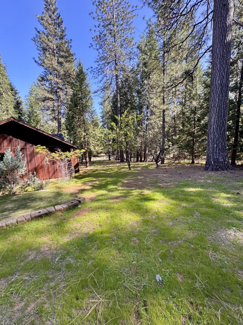 Detail Gallery Image 40 of 47 For 14543 Kathy Ln, Pioneer,  CA 95666 - 3 Beds | 2 Baths
