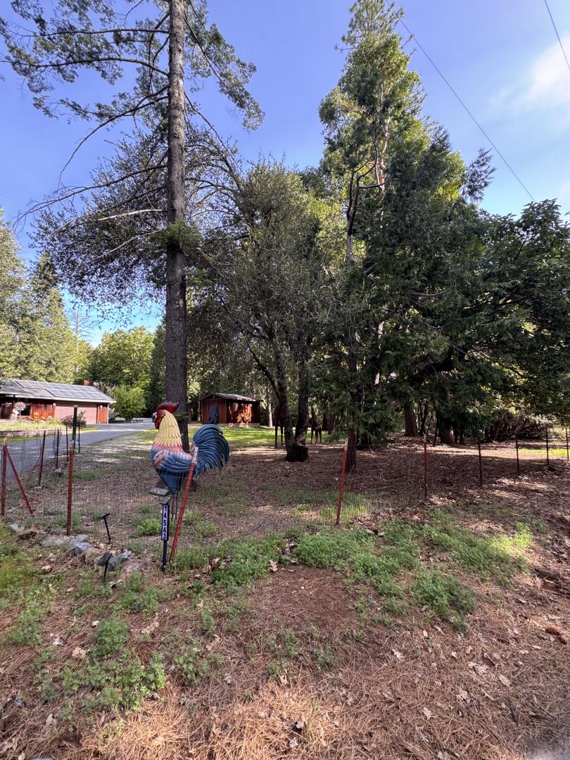 Detail Gallery Image 47 of 47 For 14543 Kathy Ln, Pioneer,  CA 95666 - 3 Beds | 2 Baths