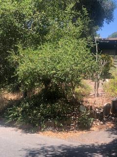 Detail Gallery Image 16 of 16 For 17580 Pond Derosa Ln #6,  Prunedale,  CA 93907 - 2 Beds | 2 Baths