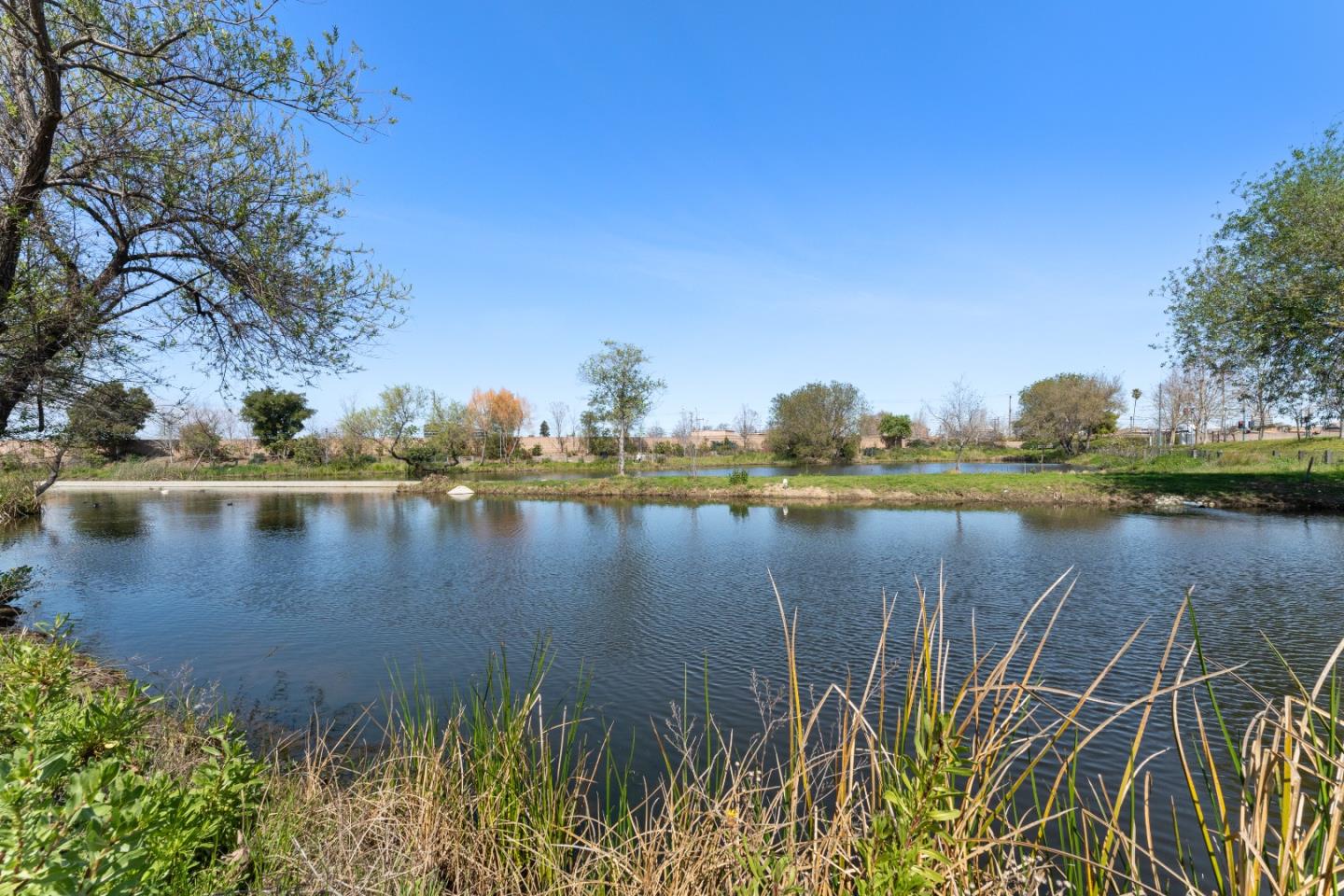 Detail Gallery Image 36 of 37 For 3104 Mena Dr, San Mateo,  CA 94403 - 4 Beds | 3/1 Baths
