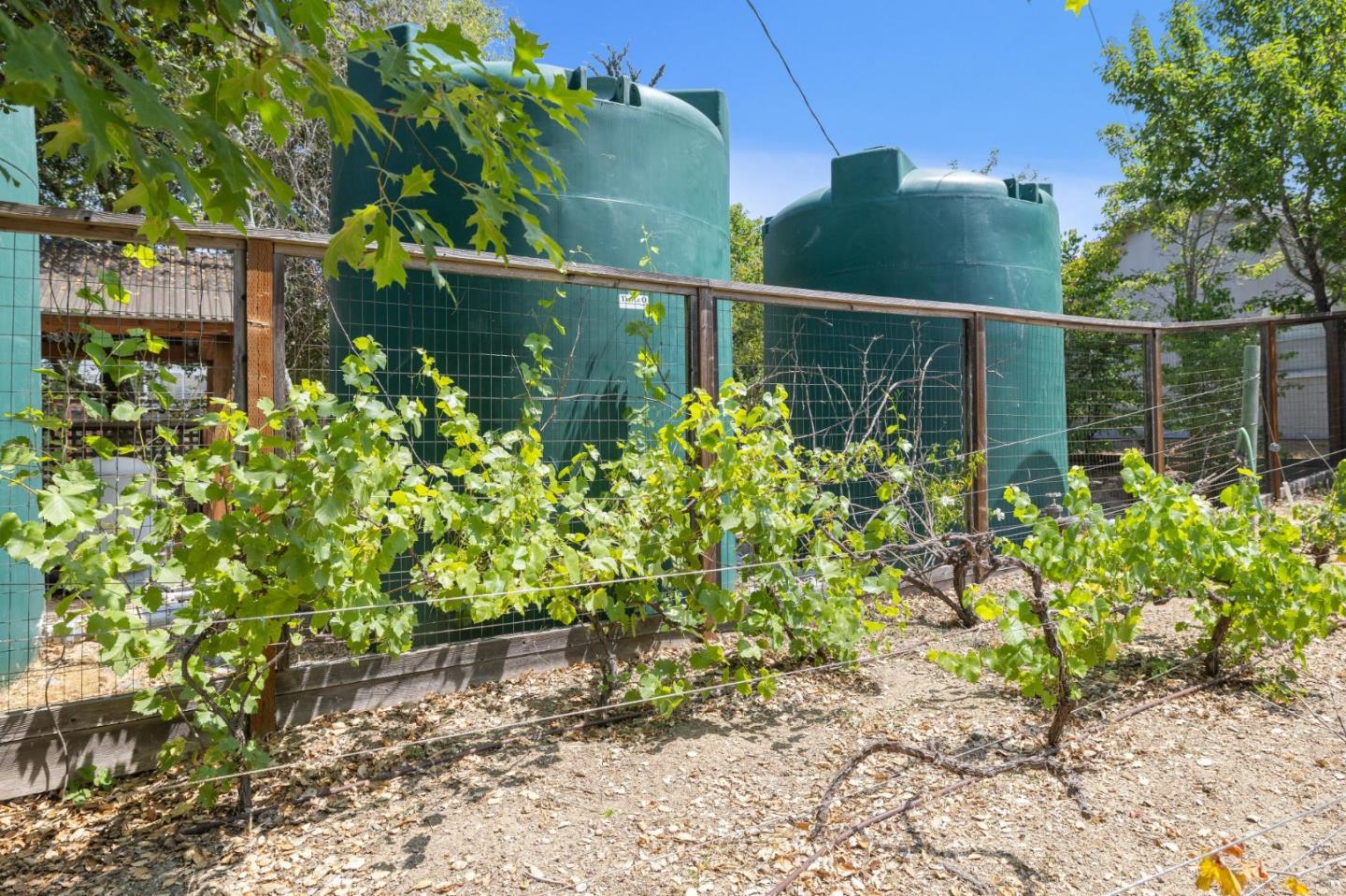 Detail Gallery Image 105 of 124 For 23583 Summit Rd, Los Gatos,  CA 95033 - 5 Beds | 4 Baths