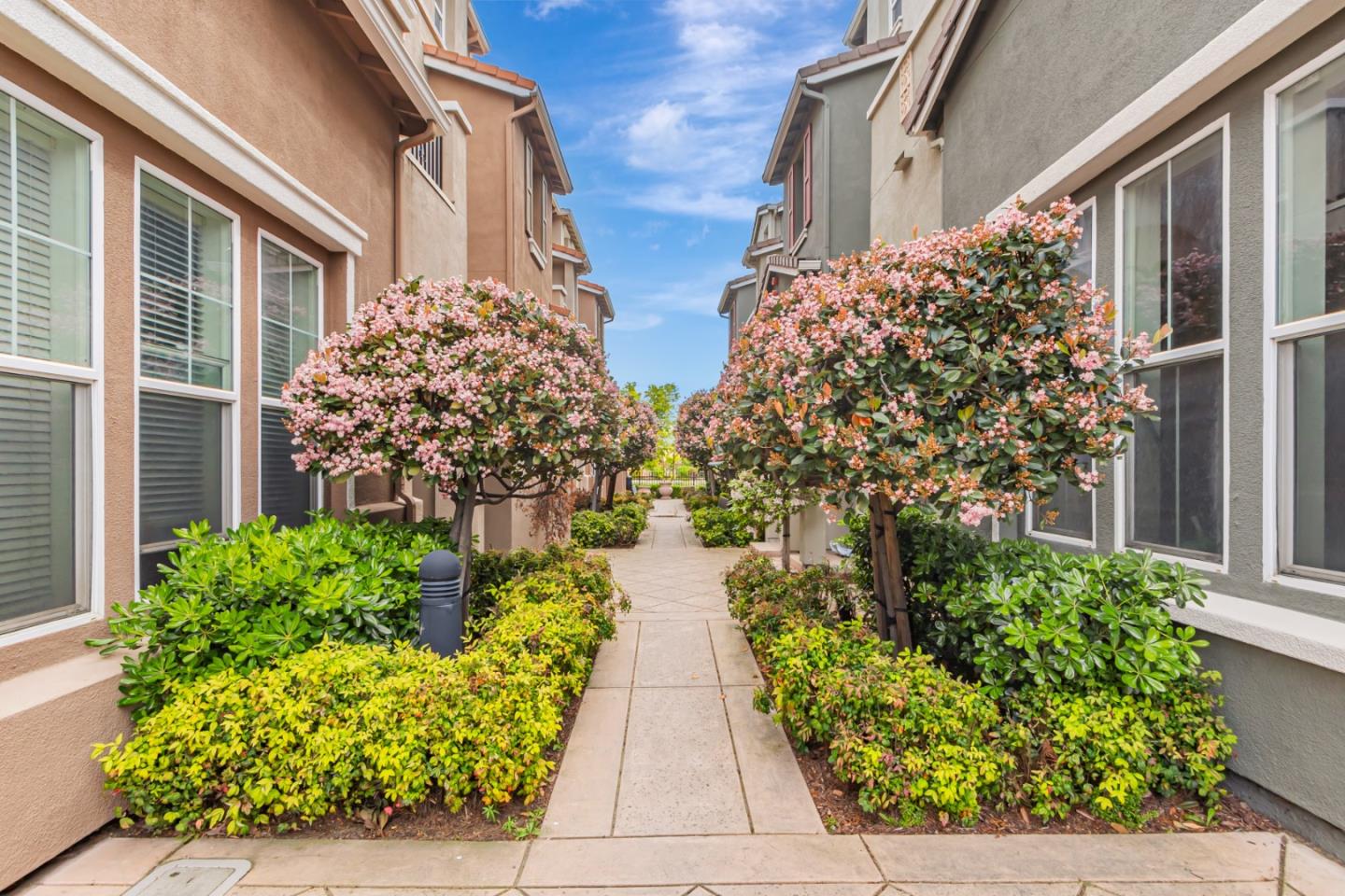 Detail Gallery Image 4 of 35 For 1744 Snell Pl, Milpitas,  CA 95035 - 3 Beds | 2 Baths