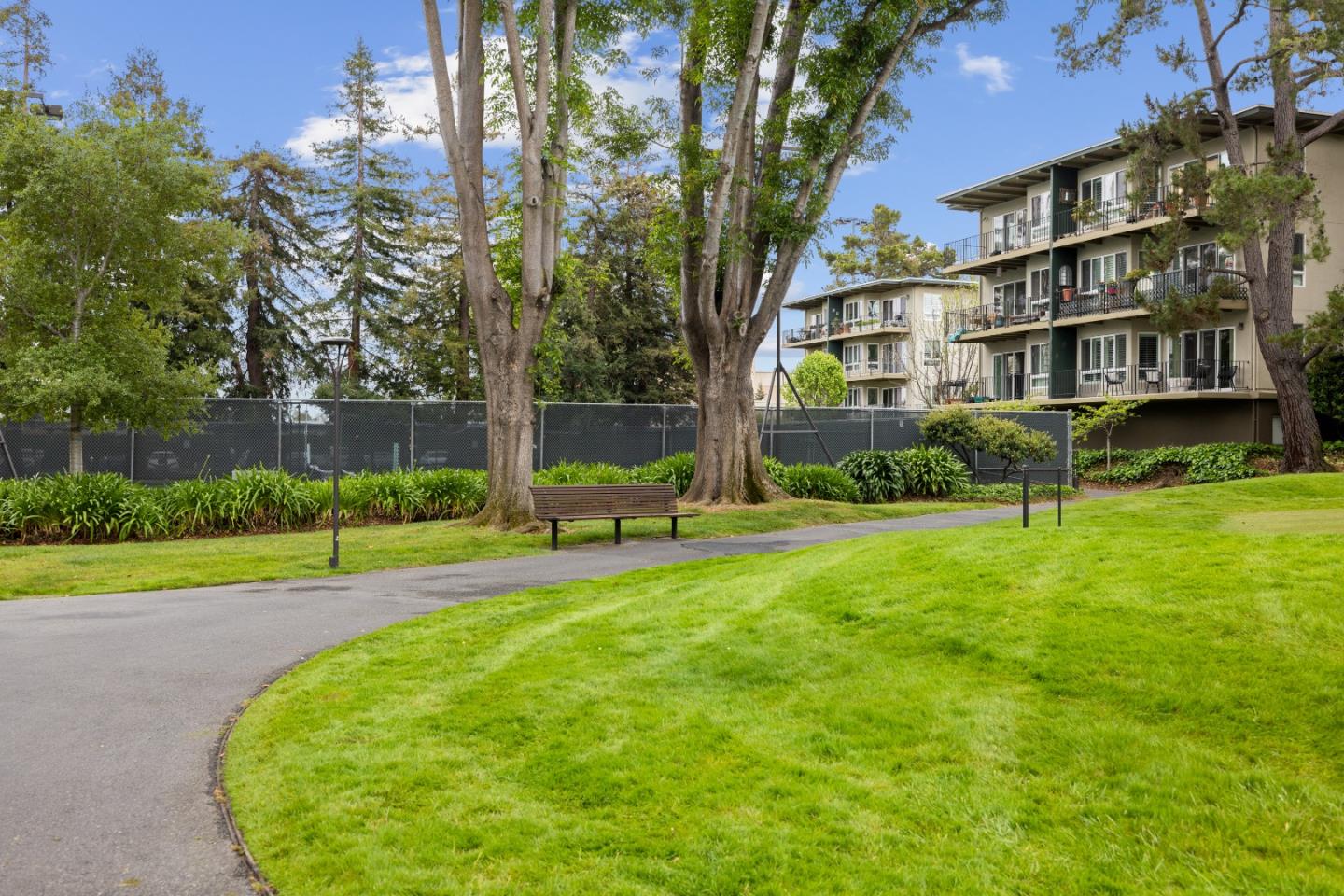 Detail Gallery Image 31 of 35 For 812 N Delaware St, San Mateo,  CA 94401 - 3 Beds | 2/1 Baths